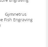 cysts;